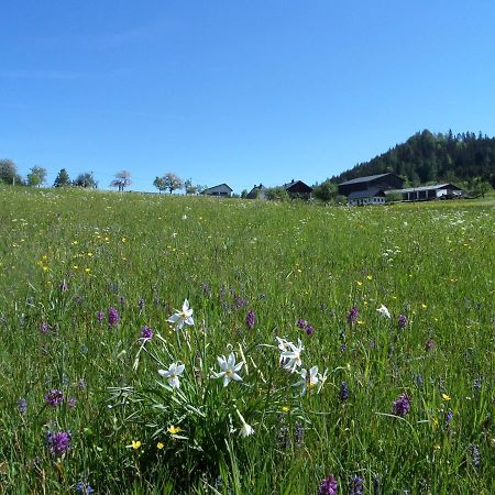 Bauernhof Ablass Göstling an der Ybbs Buitenkant foto