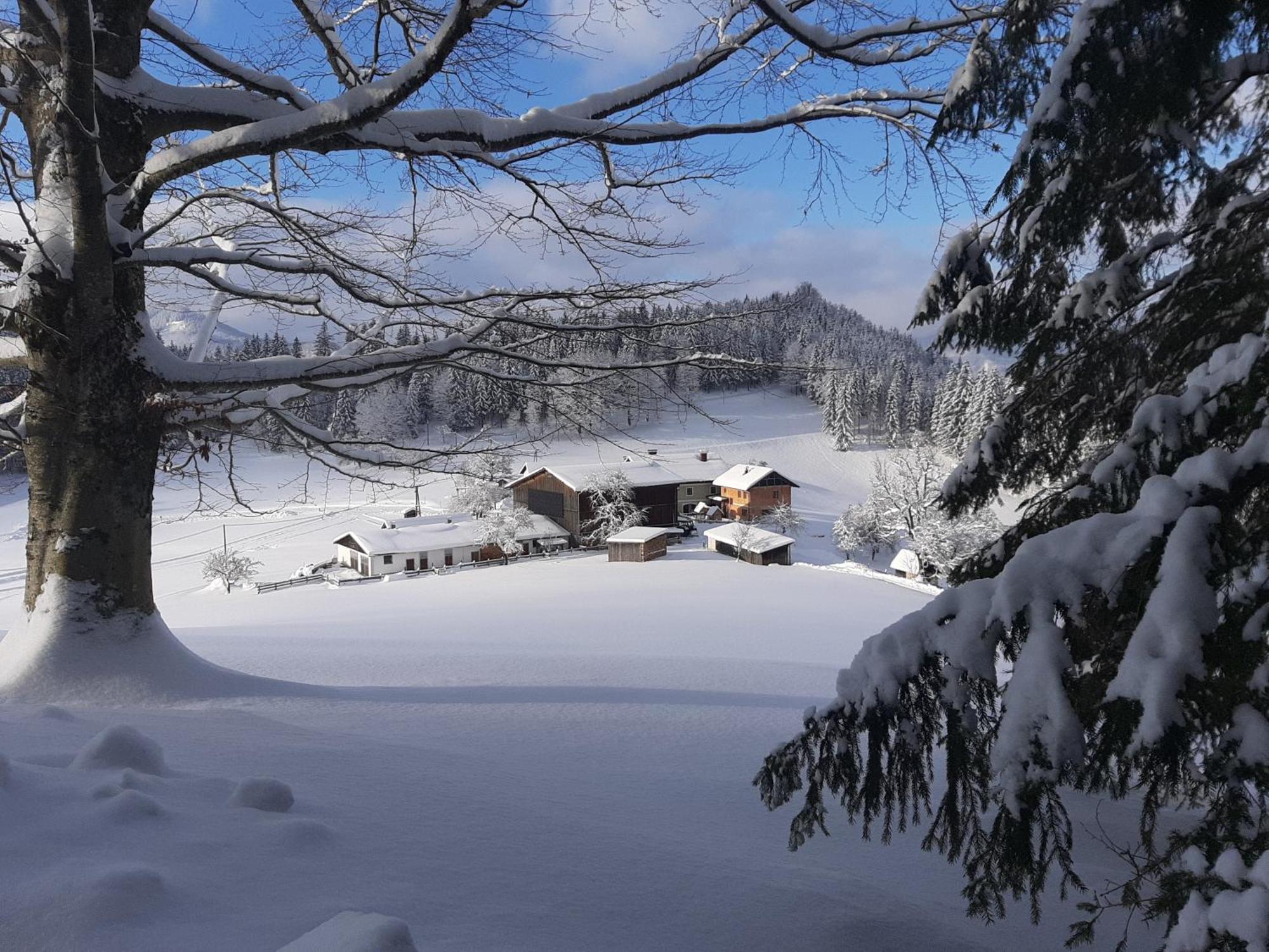 Bauernhof Ablass Göstling an der Ybbs Buitenkant foto
