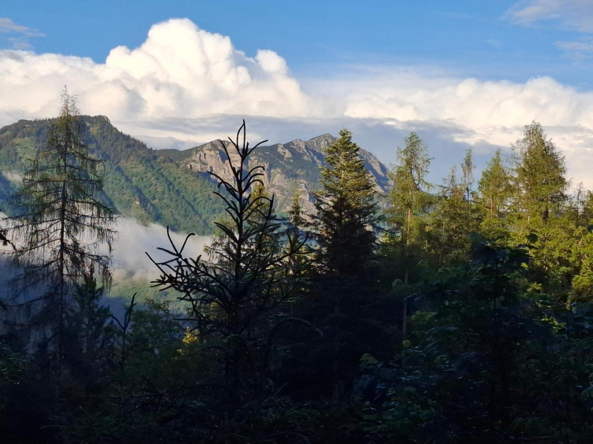 Bauernhof Ablass Göstling an der Ybbs Buitenkant foto