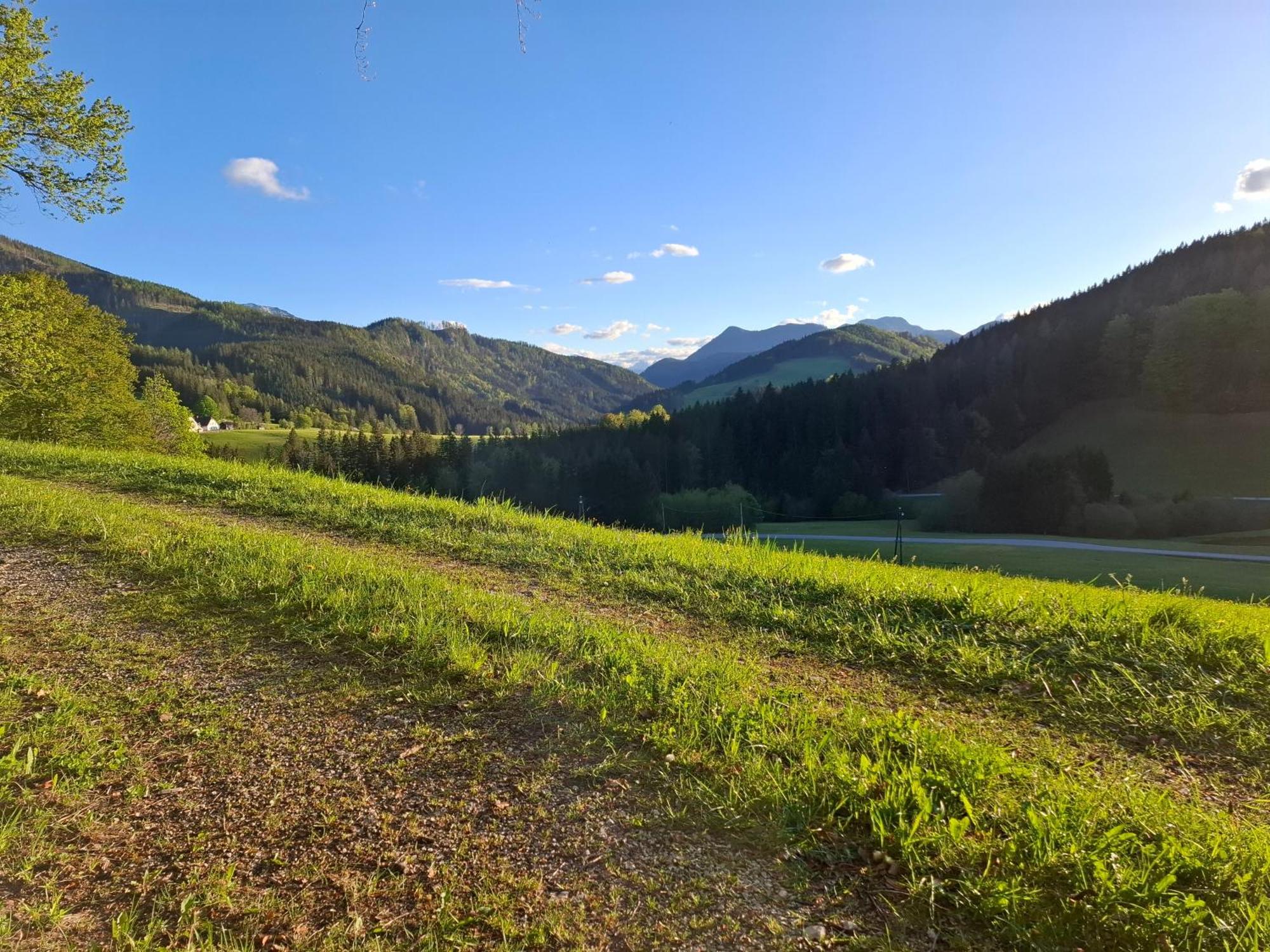 Bauernhof Ablass Göstling an der Ybbs Buitenkant foto