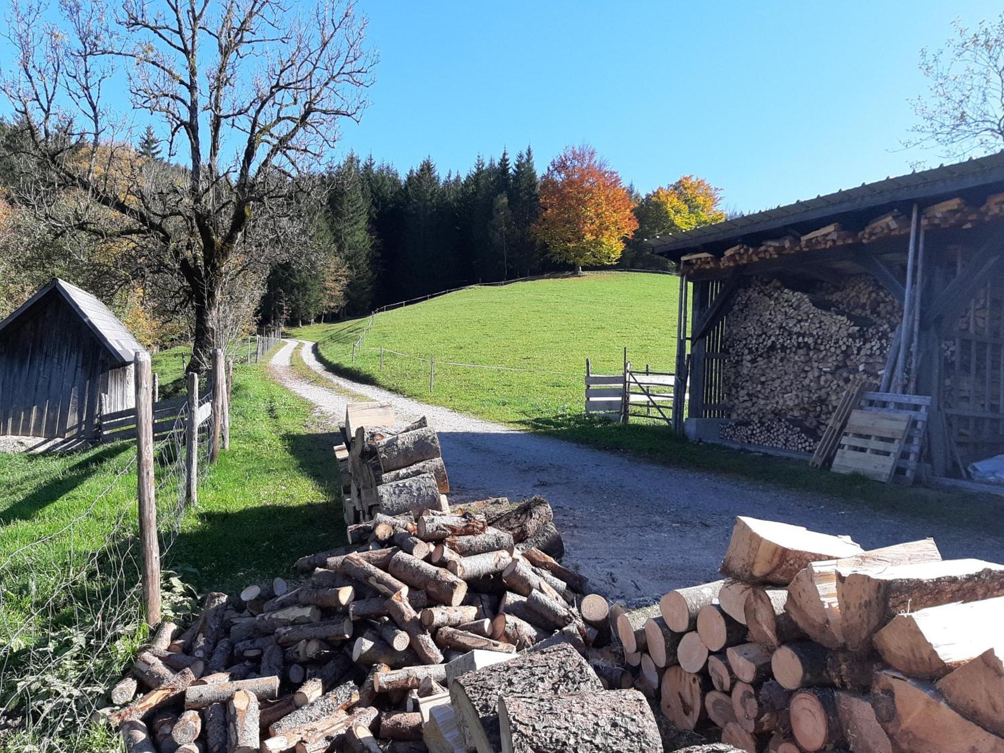 Bauernhof Ablass Göstling an der Ybbs Buitenkant foto