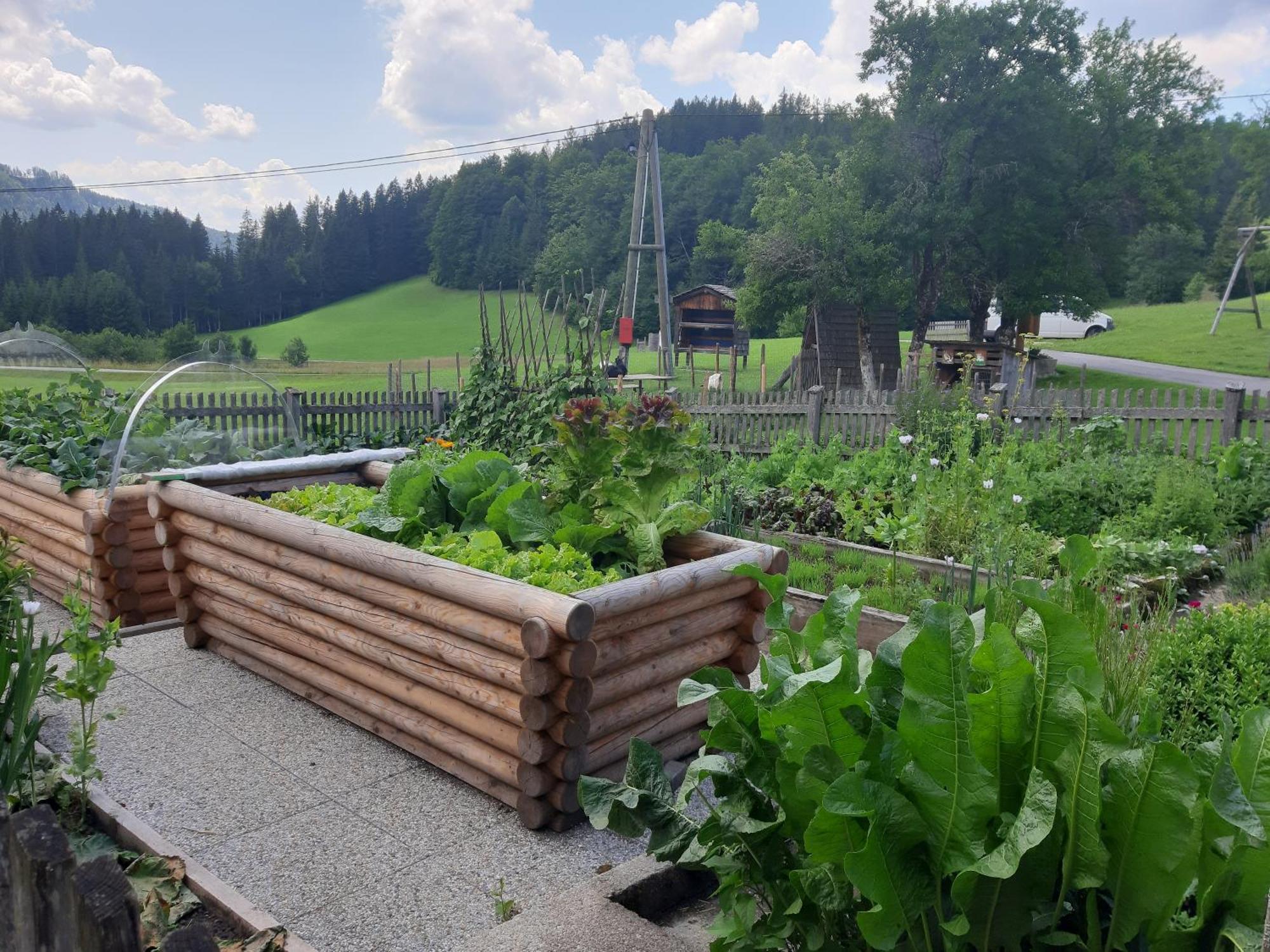 Bauernhof Ablass Göstling an der Ybbs Buitenkant foto