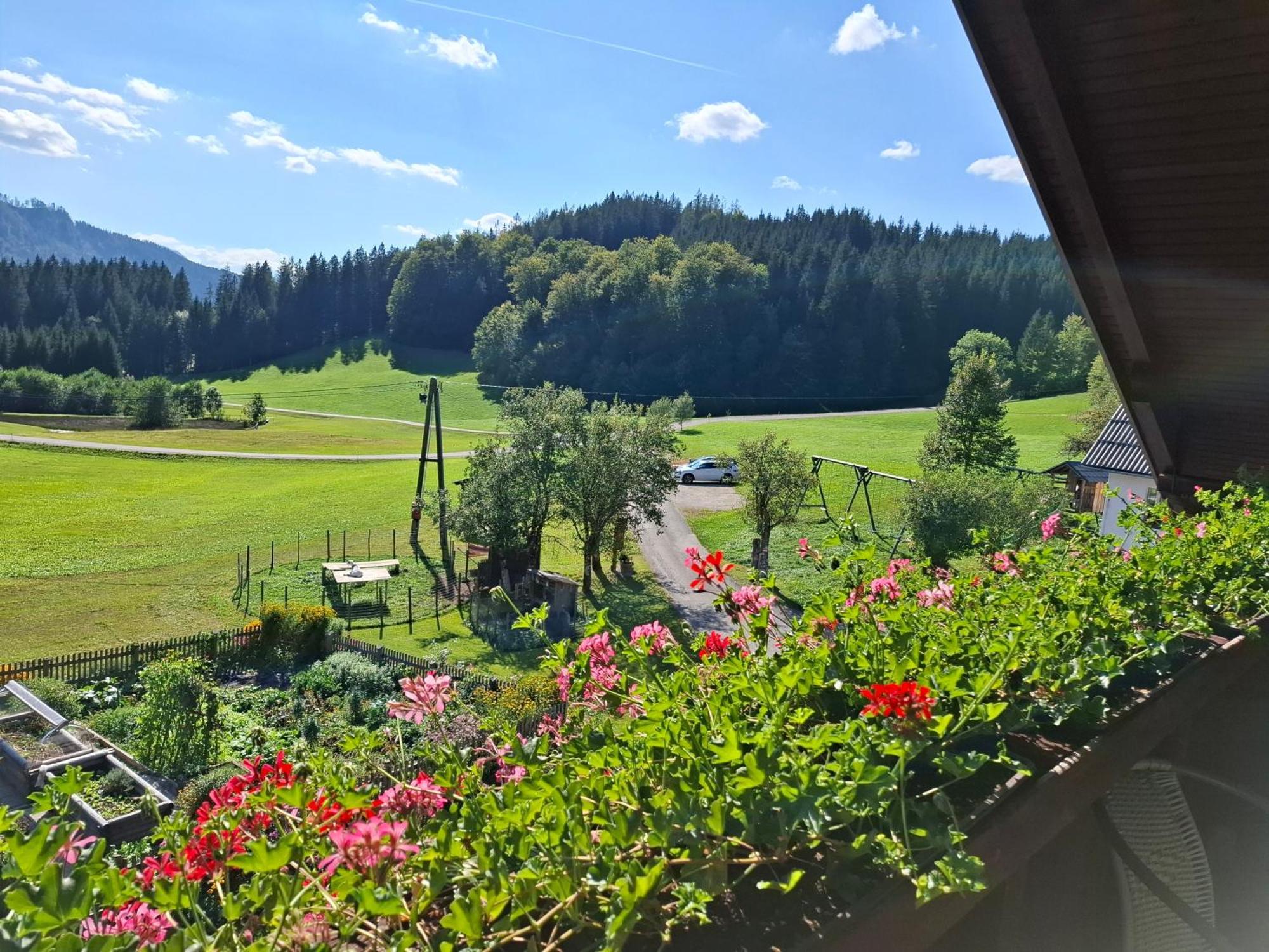 Bauernhof Ablass Göstling an der Ybbs Buitenkant foto