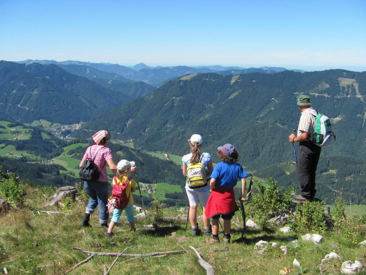 Bauernhof Ablass Göstling an der Ybbs Buitenkant foto