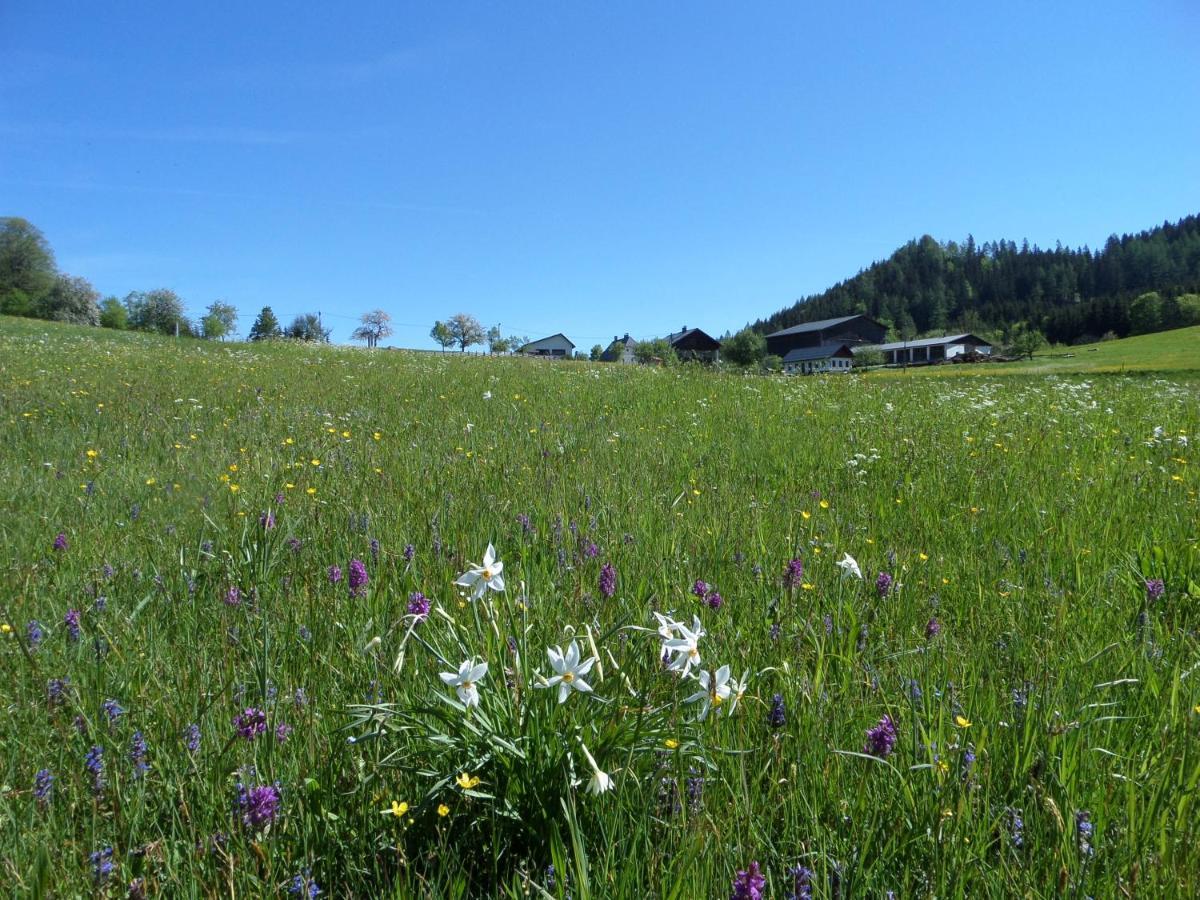 Bauernhof Ablass Göstling an der Ybbs Buitenkant foto